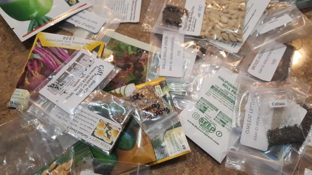 seeds.jpg
