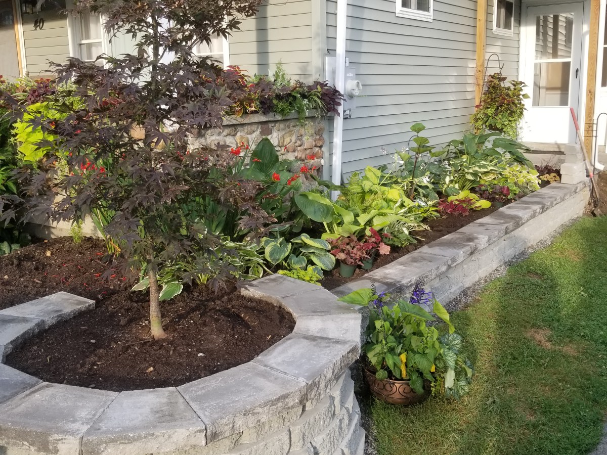 Summer Project- 2021: The Front&nbsp;Wall